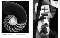 reprint: moholy: painting, photography, film | english edition
